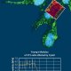 living-3t3-cells